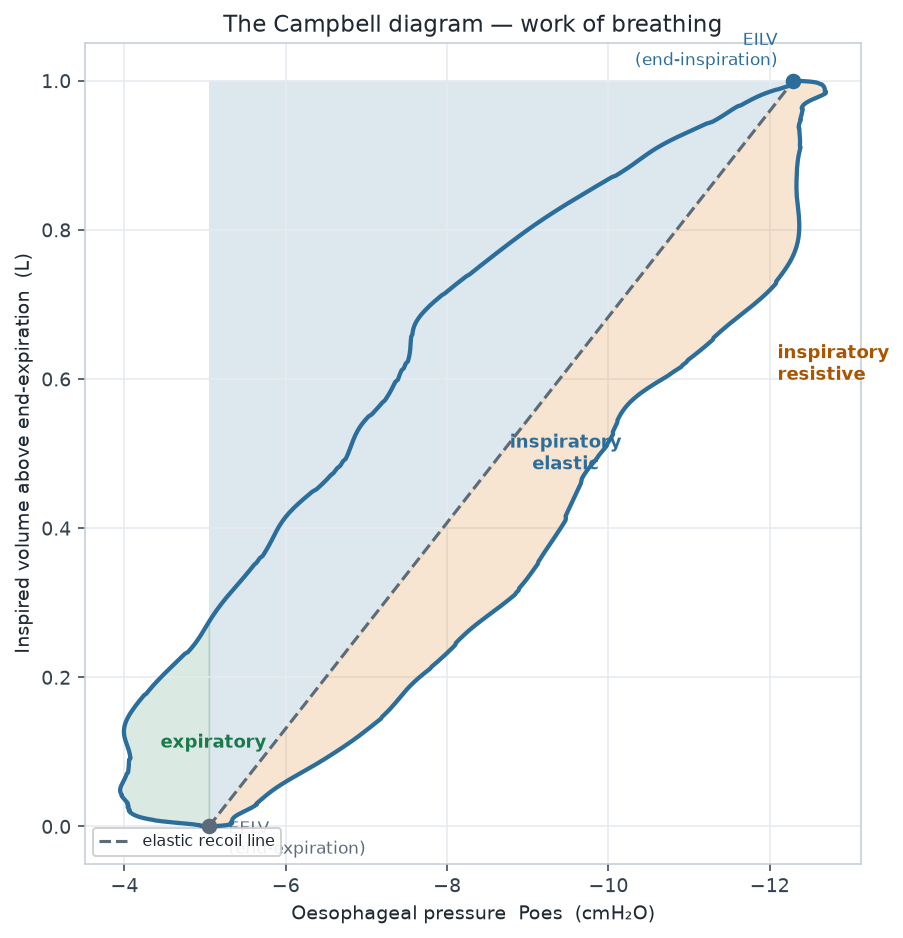 An averaged Campbell loop of oesophageal pressure versus lung volume, annotated with the EELV and EILV endpoints, the dashed elastic-recoil line joining them, the shaded inspiratory elastic triangle, the inspiratory resistive area between the pressure trace and the recoil line, and the expiratory work area.